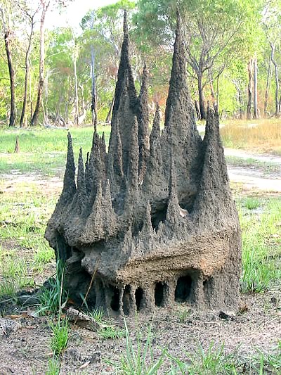 https://ktismatics.files.wordpress.com/2011/03/termite-mound.jpg